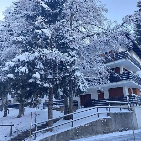 Casa Ampia Funghetto Sulle Piste Di Folgarida